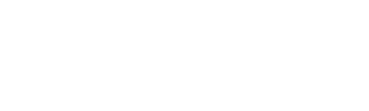 Logo Stadt Blaubeuren